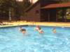 Photo Number 3
